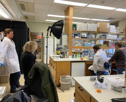 lab photo shoot